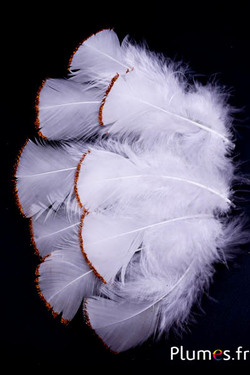 Dinde avec paillettes bronzes - 6-8 cm - blanc